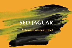 Sed Jaguar