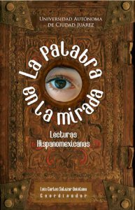 La palabra en la mirada. Lecturas hispanoamericanas