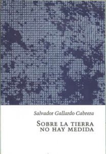 Sobre la tierra no hay medida. Una morfología de los espacios