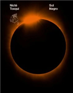 Sol negro