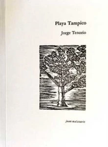 Playa Tampico