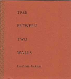 Tree between two walls