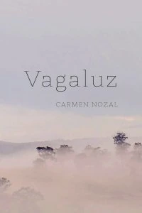 Vagaluz
