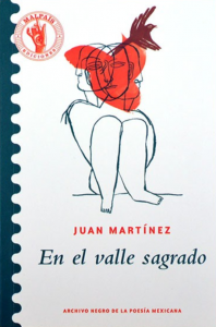 En el valle sagrado (poesía reunida)