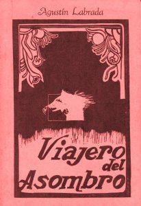 Viajero del asombro 