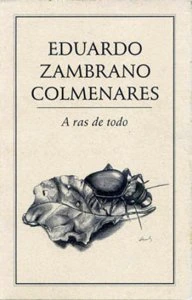 A ras de todo
